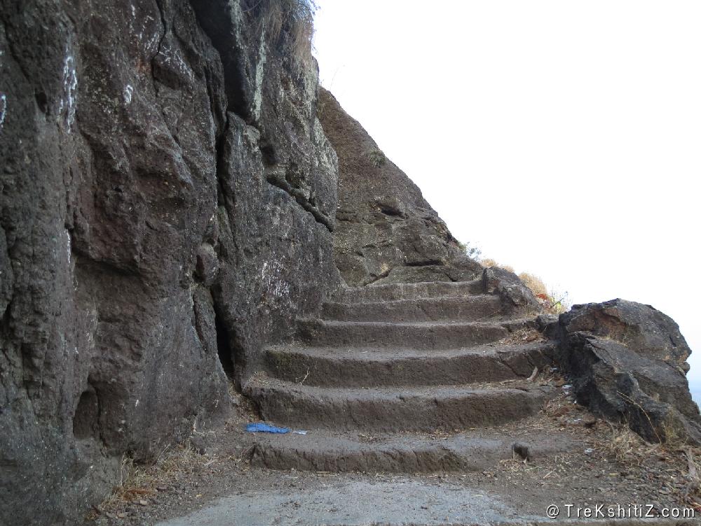 Carved steps at Bhansigad