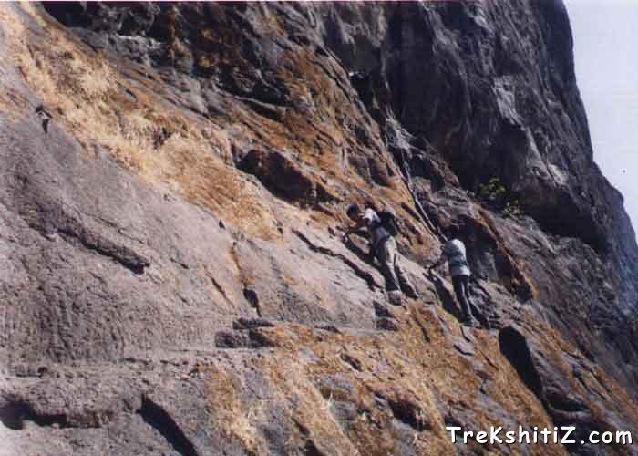 Climbing patch of Dhak