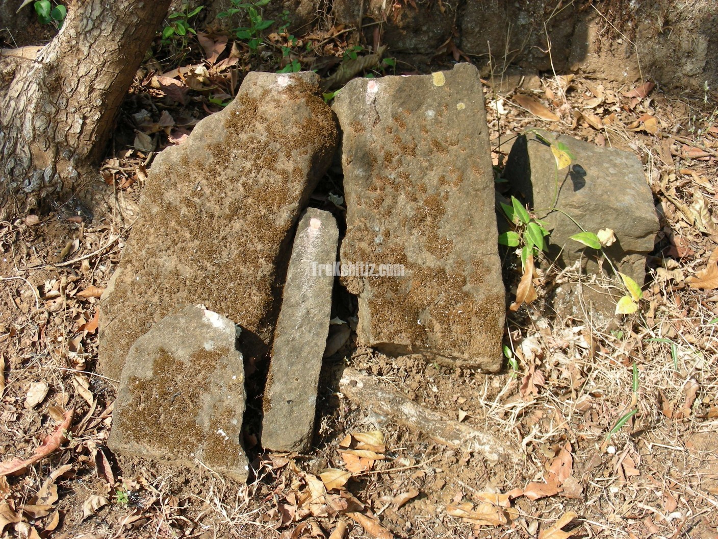 Remains of Fortification Manikdurg
