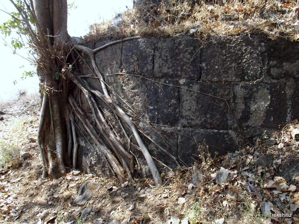 Segawa Fortification wall of Balekilla