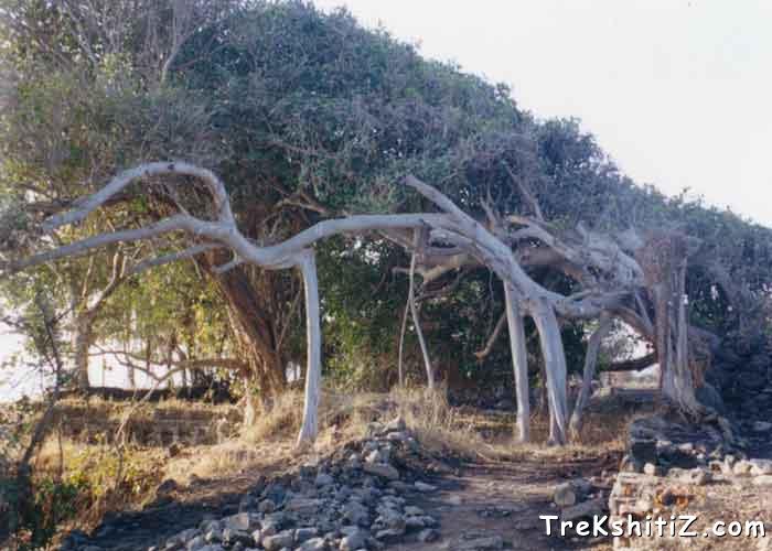 Natural entrance on Underi Fort