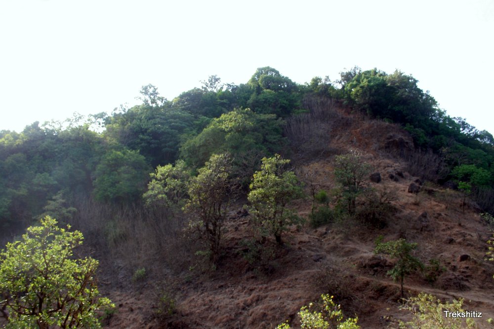 Narayangad(Amboli)