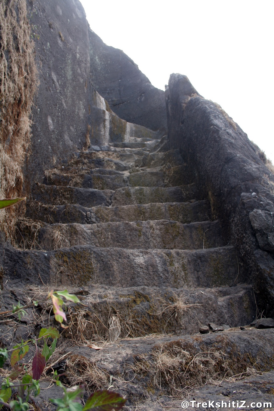 Bhaskargad