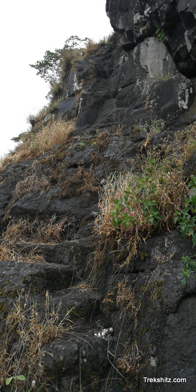 Bitangad