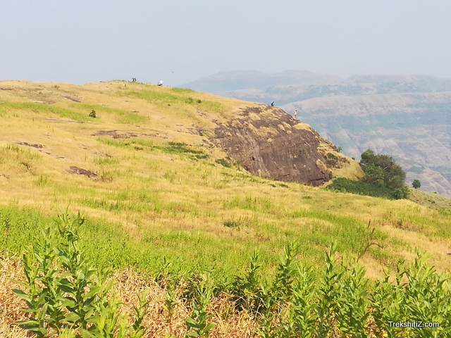 Dhakoba