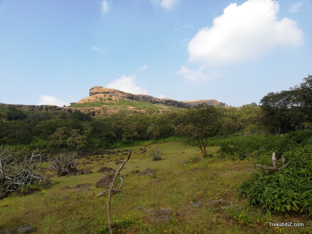 Dhakoba