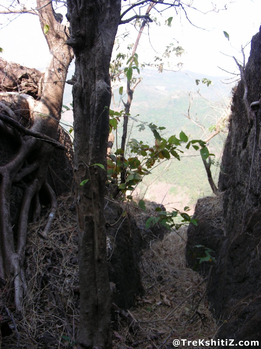 Kolkewadi
