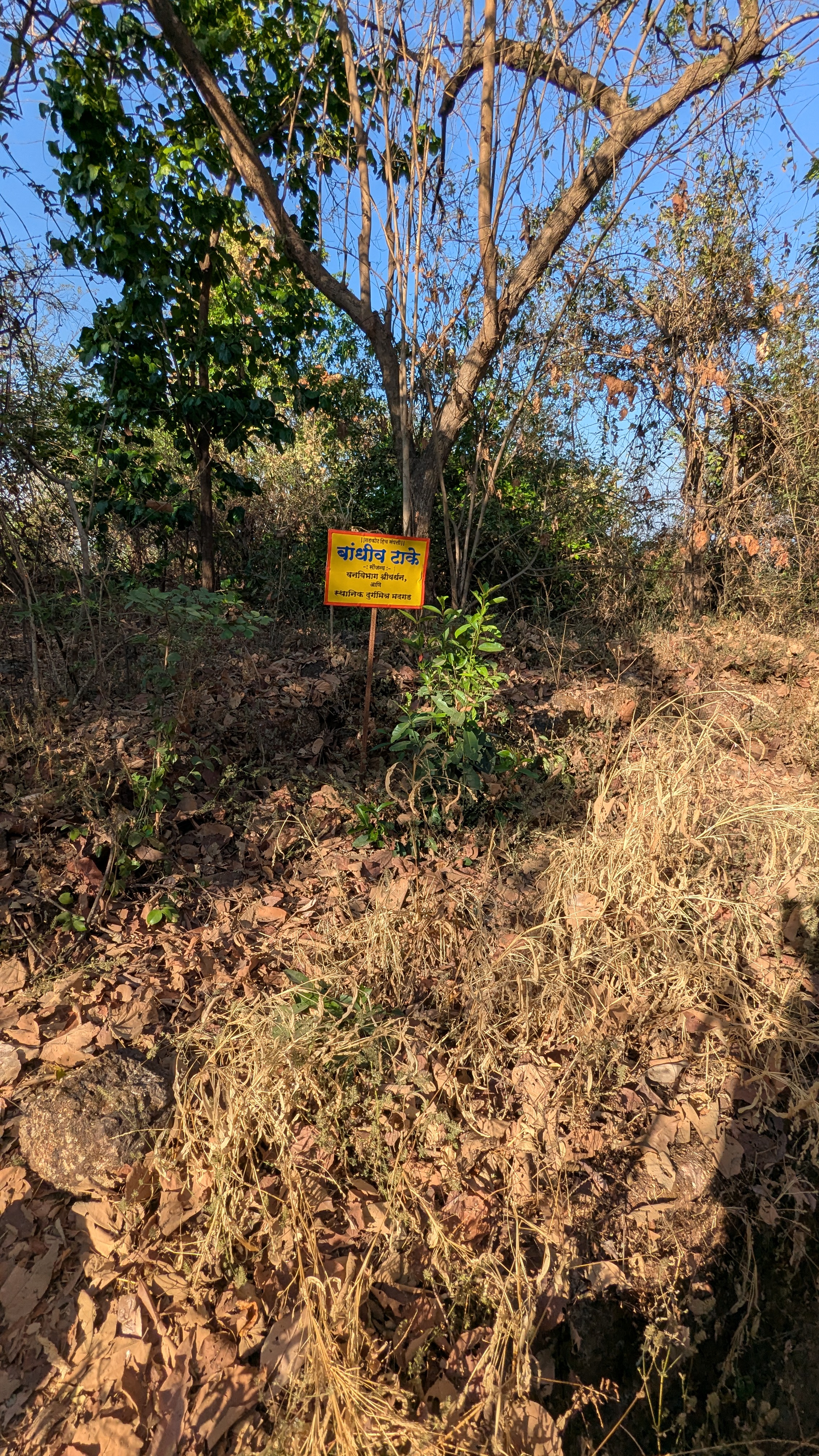 बारव Madgad