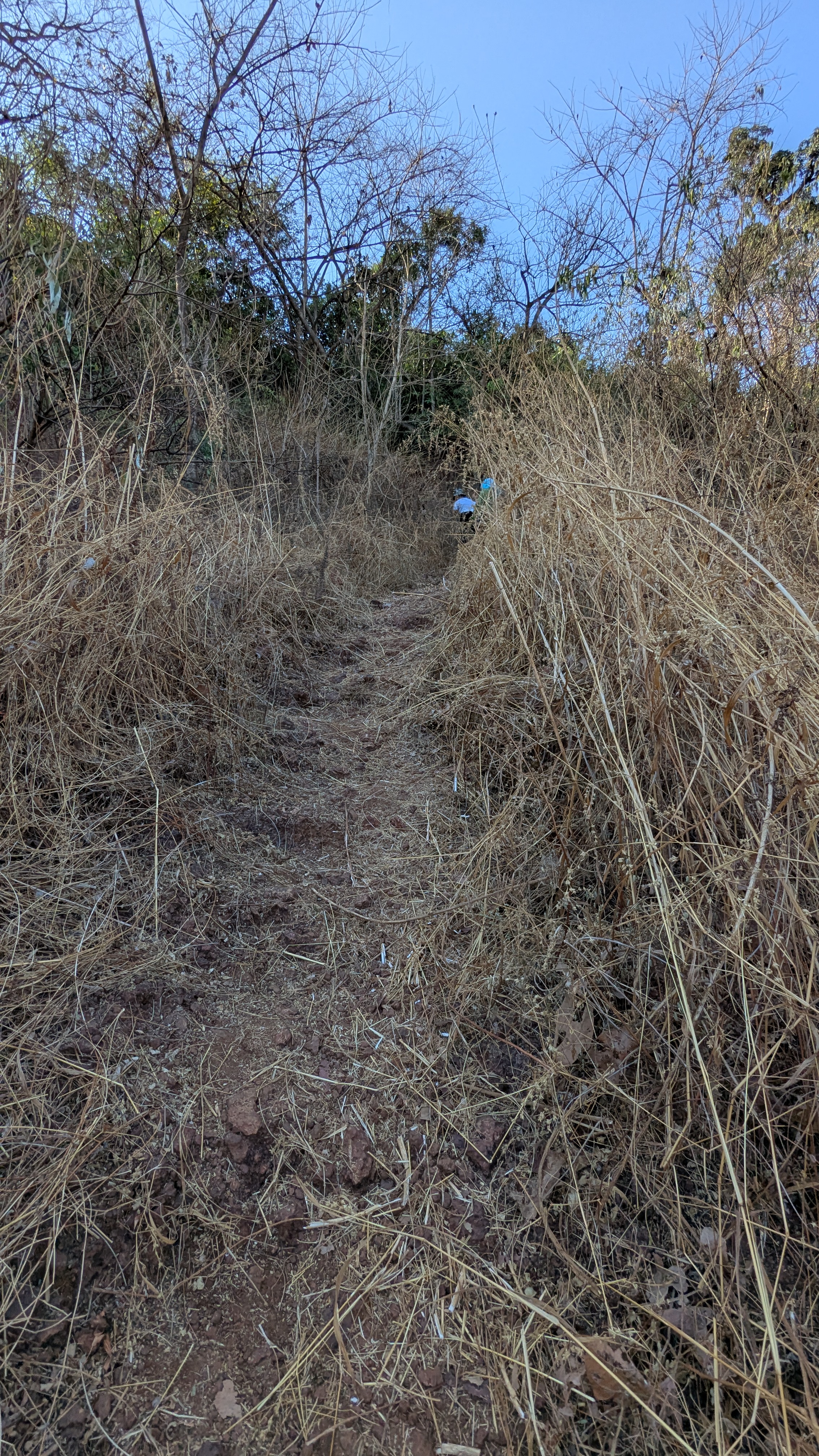 Steps Madgad