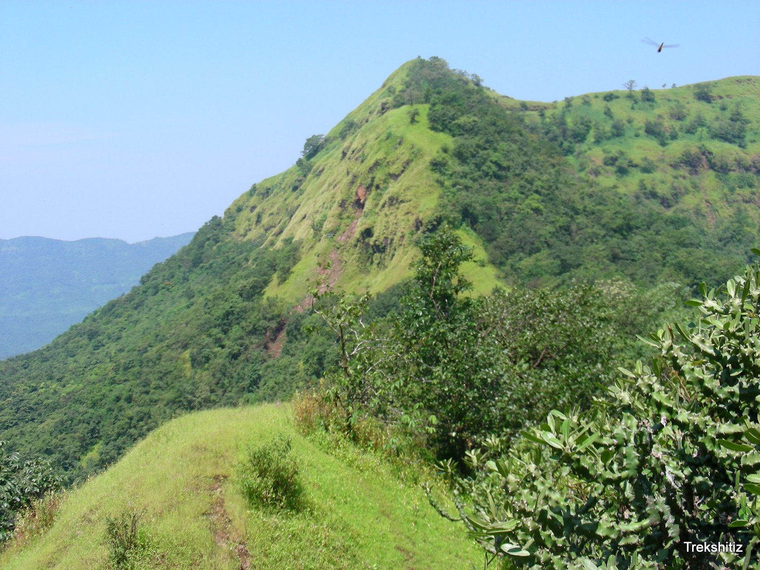 Mahimatgad