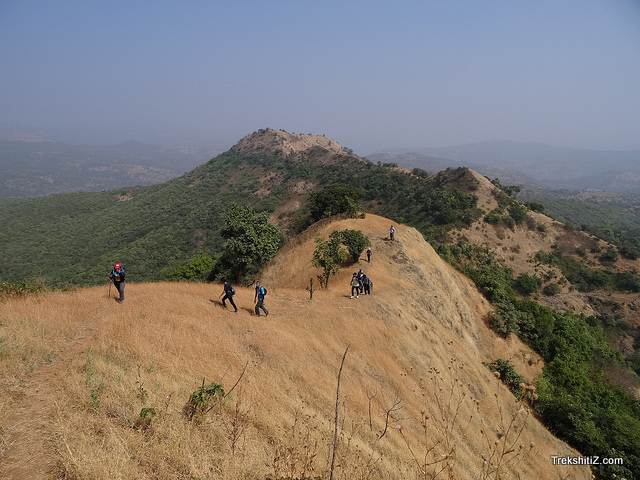 Mohangad