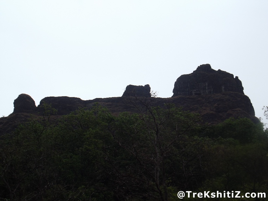 Padargad