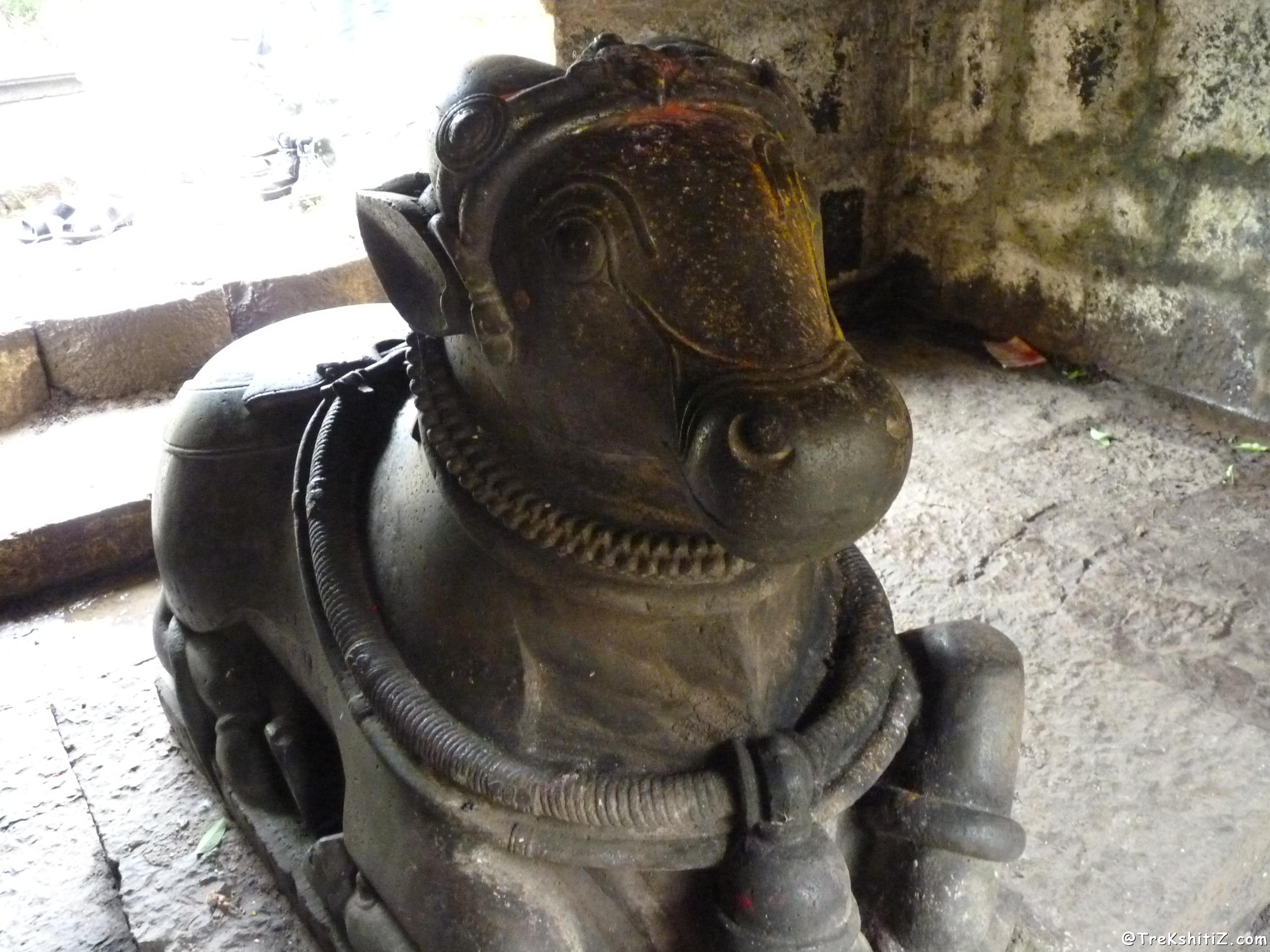 Pateshwar