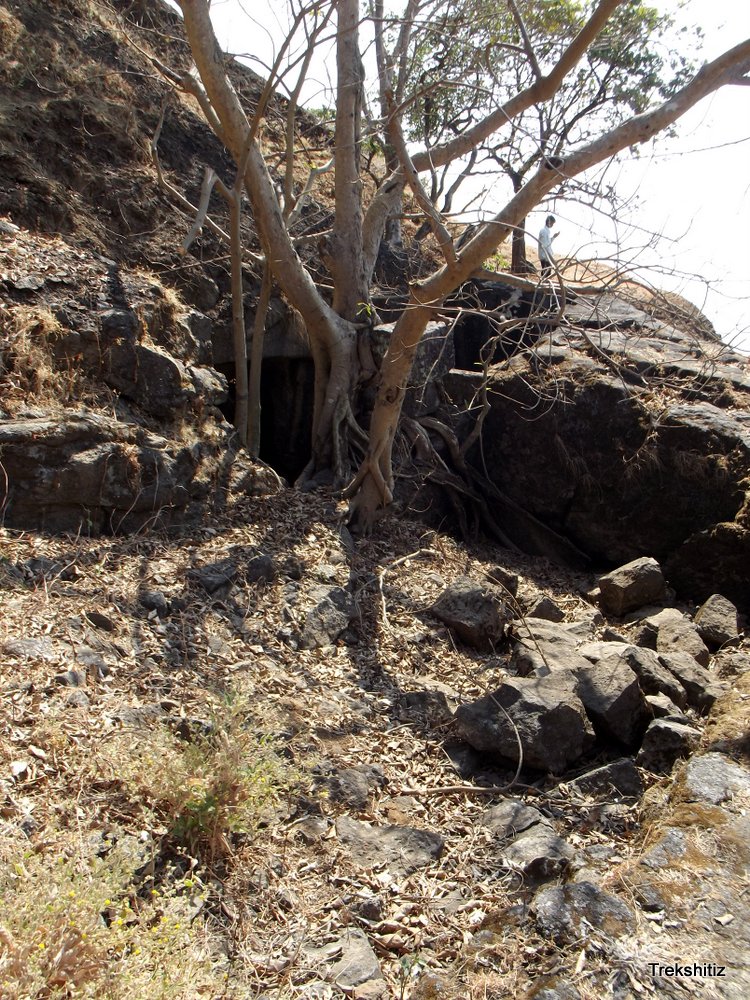 Segawa Water Tank