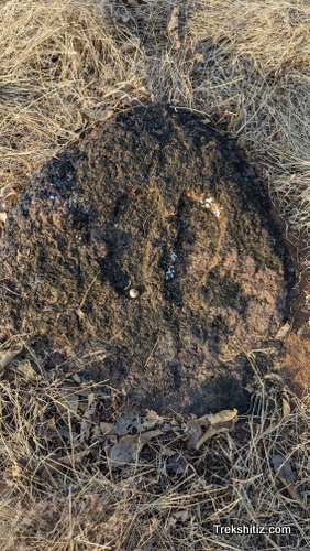 Vetalgad