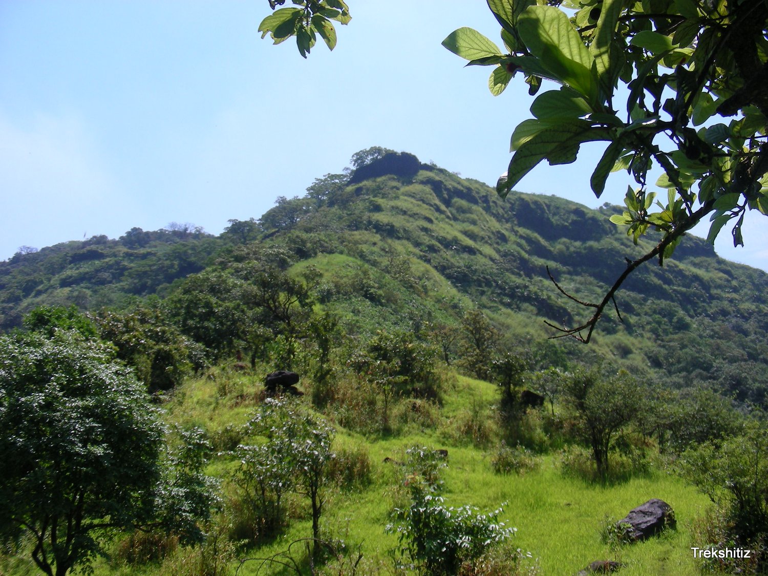 Mahimatgad
