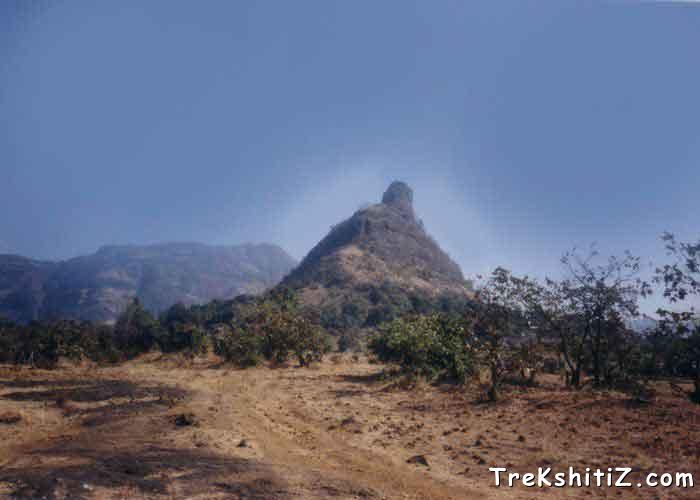 Peth Killa from it's way