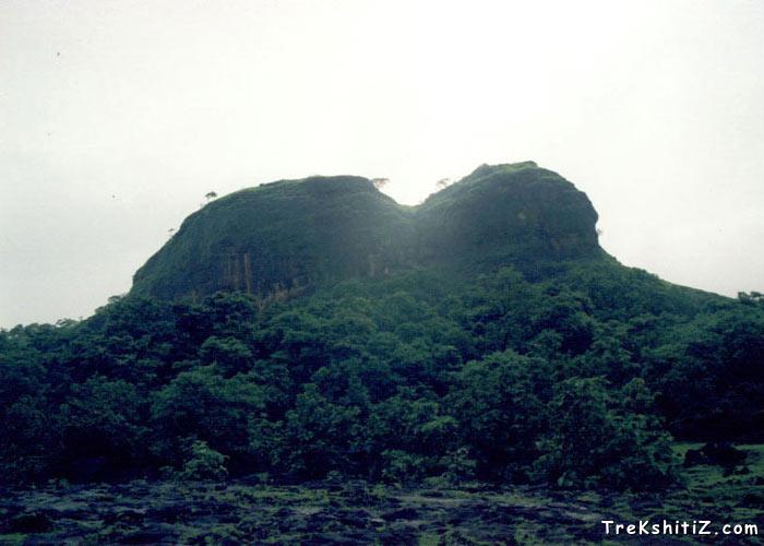 Surgad from it's way.