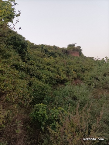 Aamner