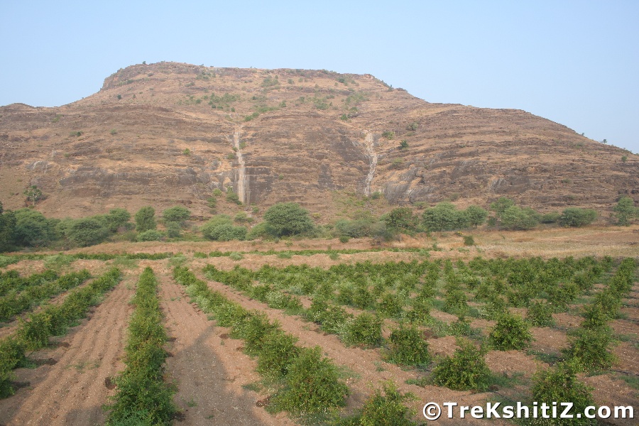 Long view of Ajmera