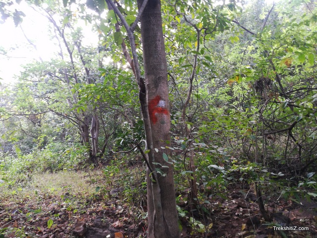 Signs on trees,Anghai