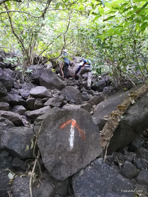 Signs on rocks, Anghai