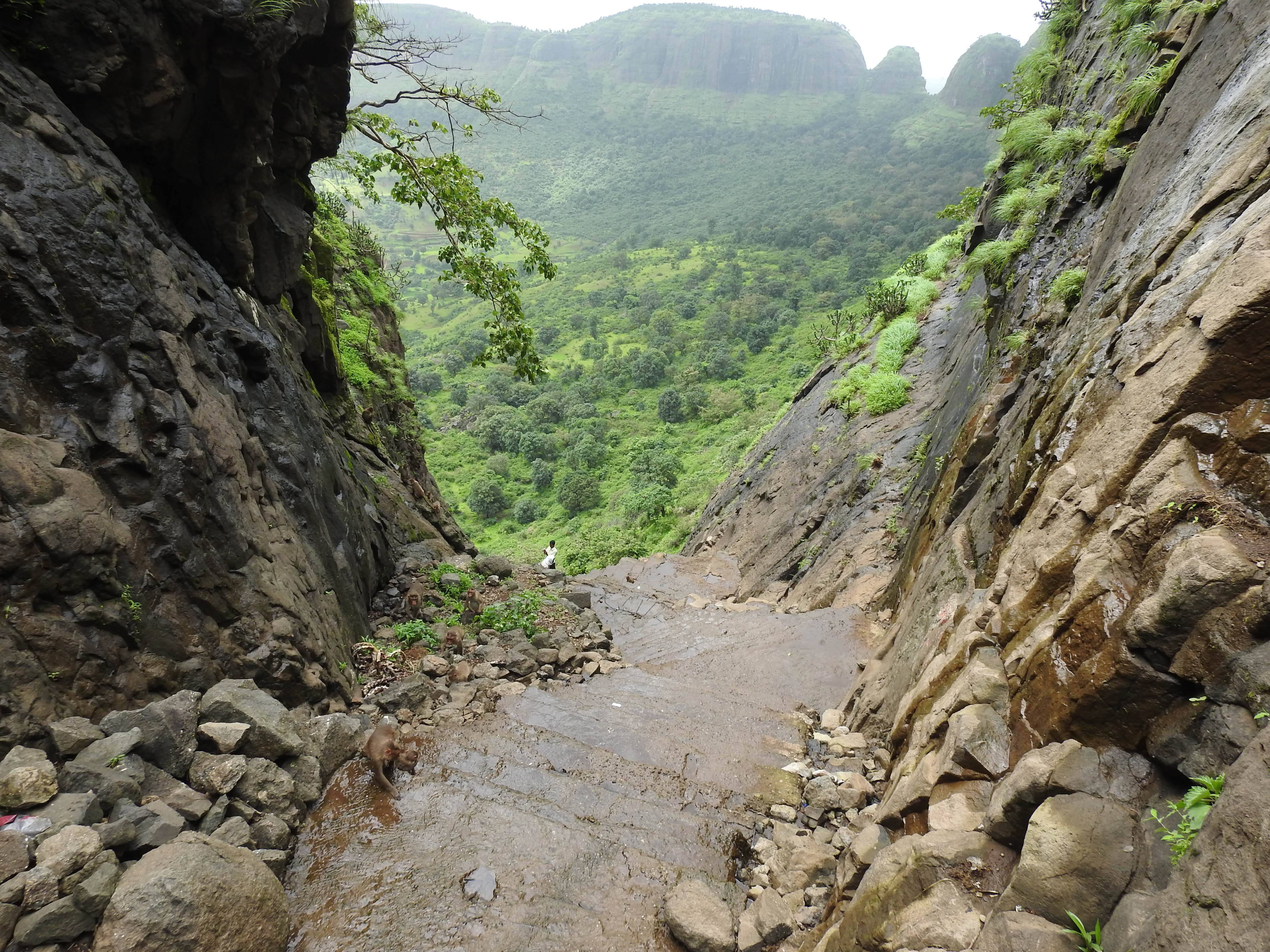 Anjaneri