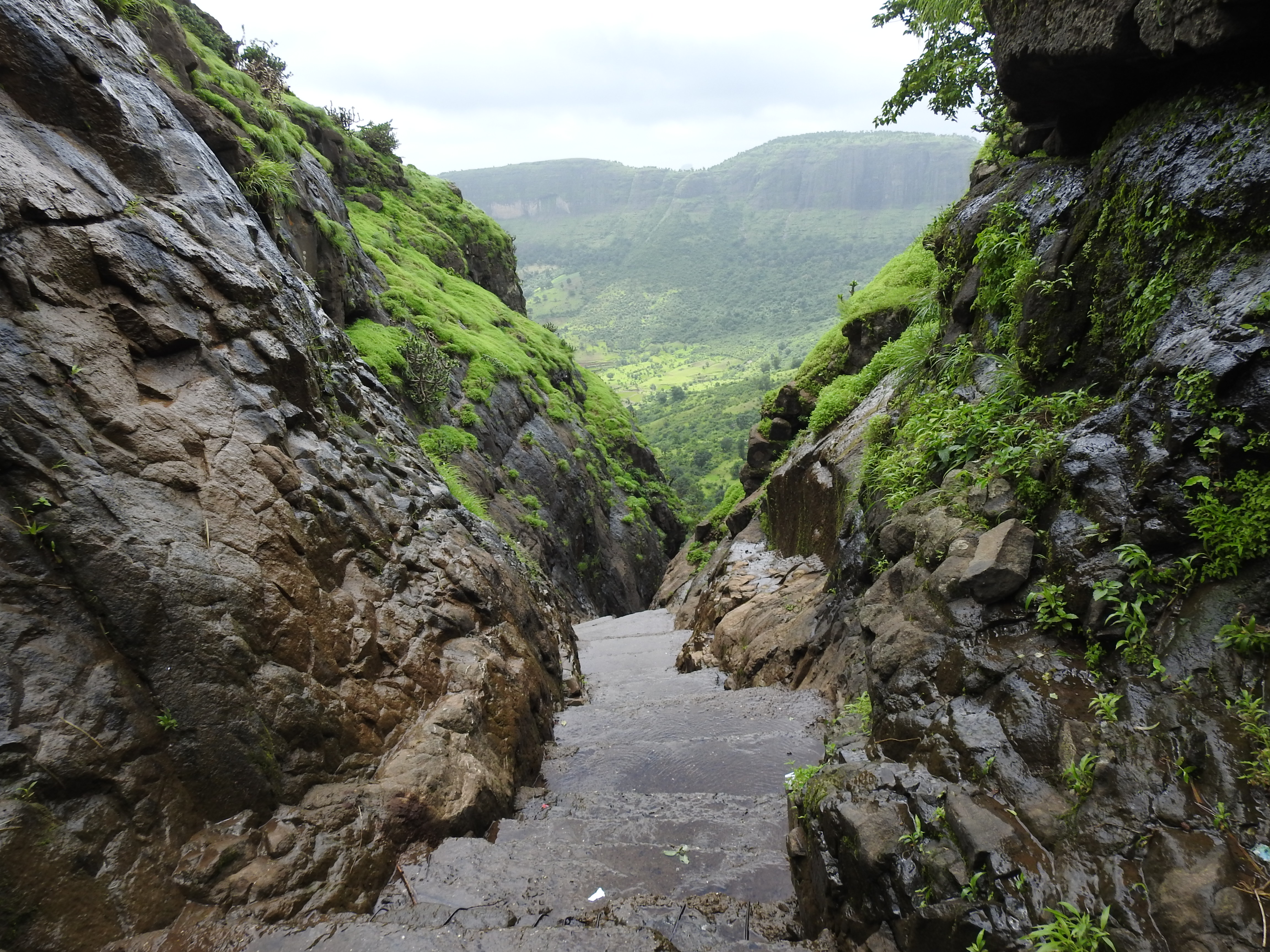 Anjaneri
