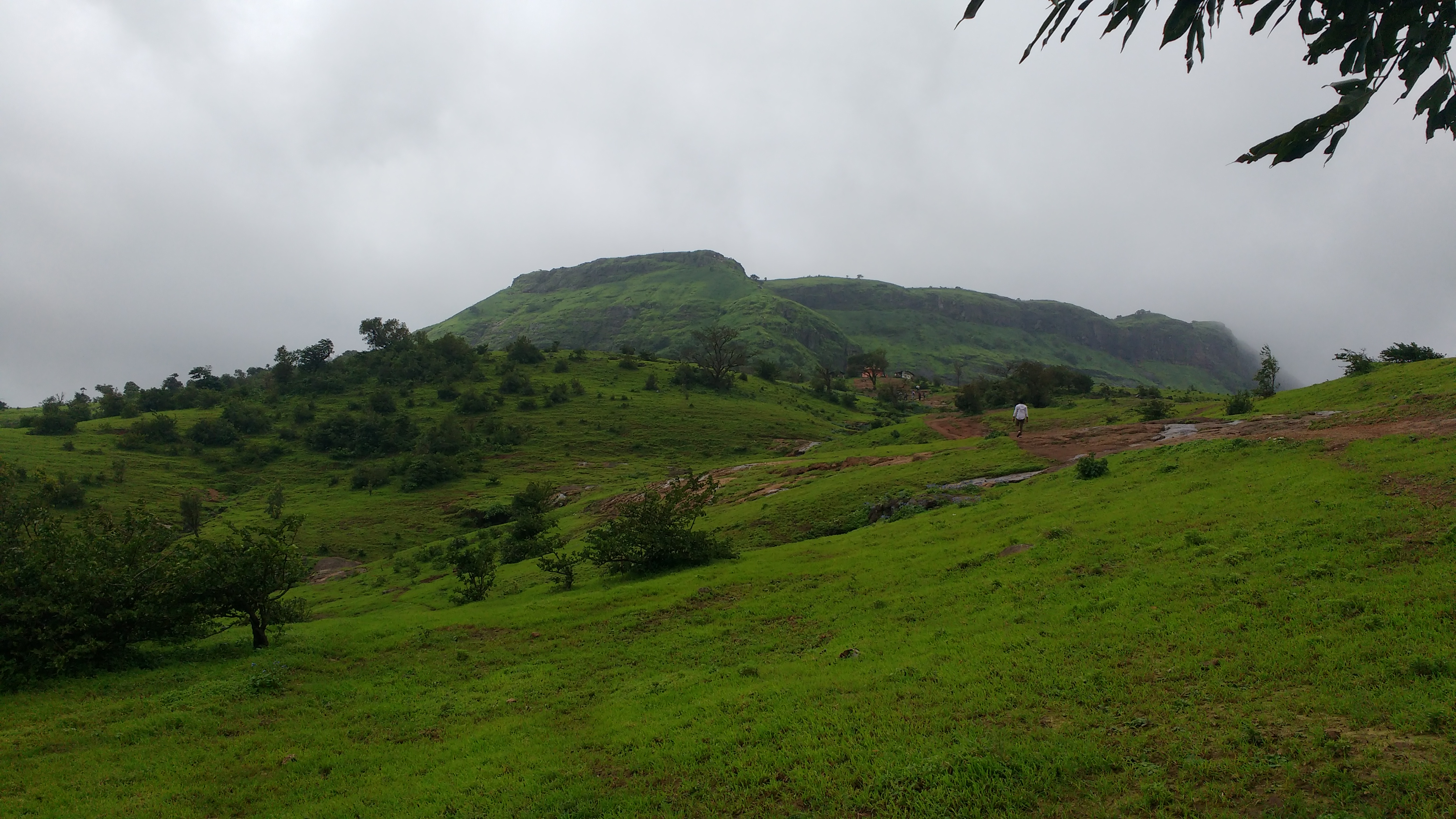 Anjaneri
