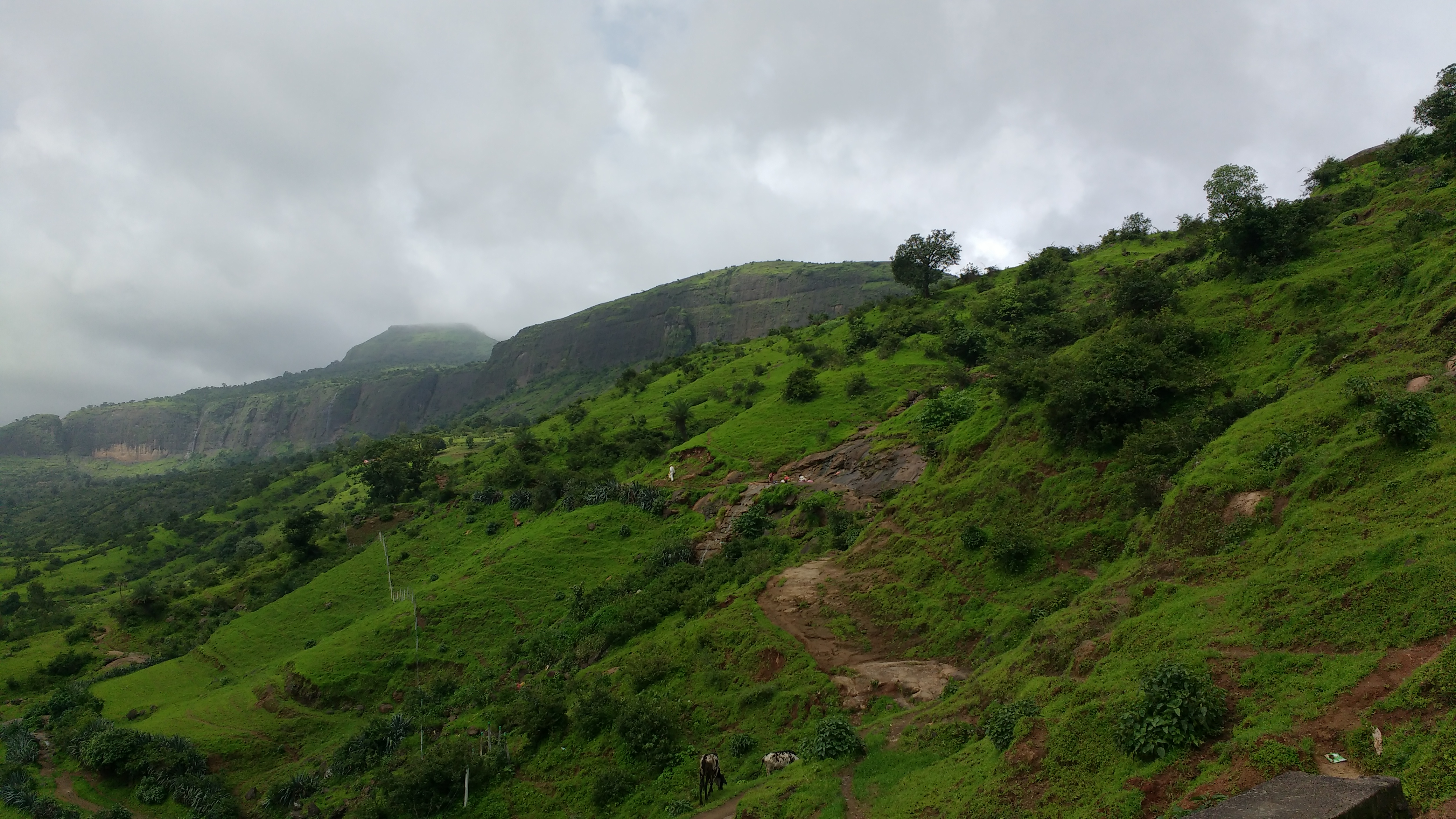 Anjaneri Fort from Anjaneri village