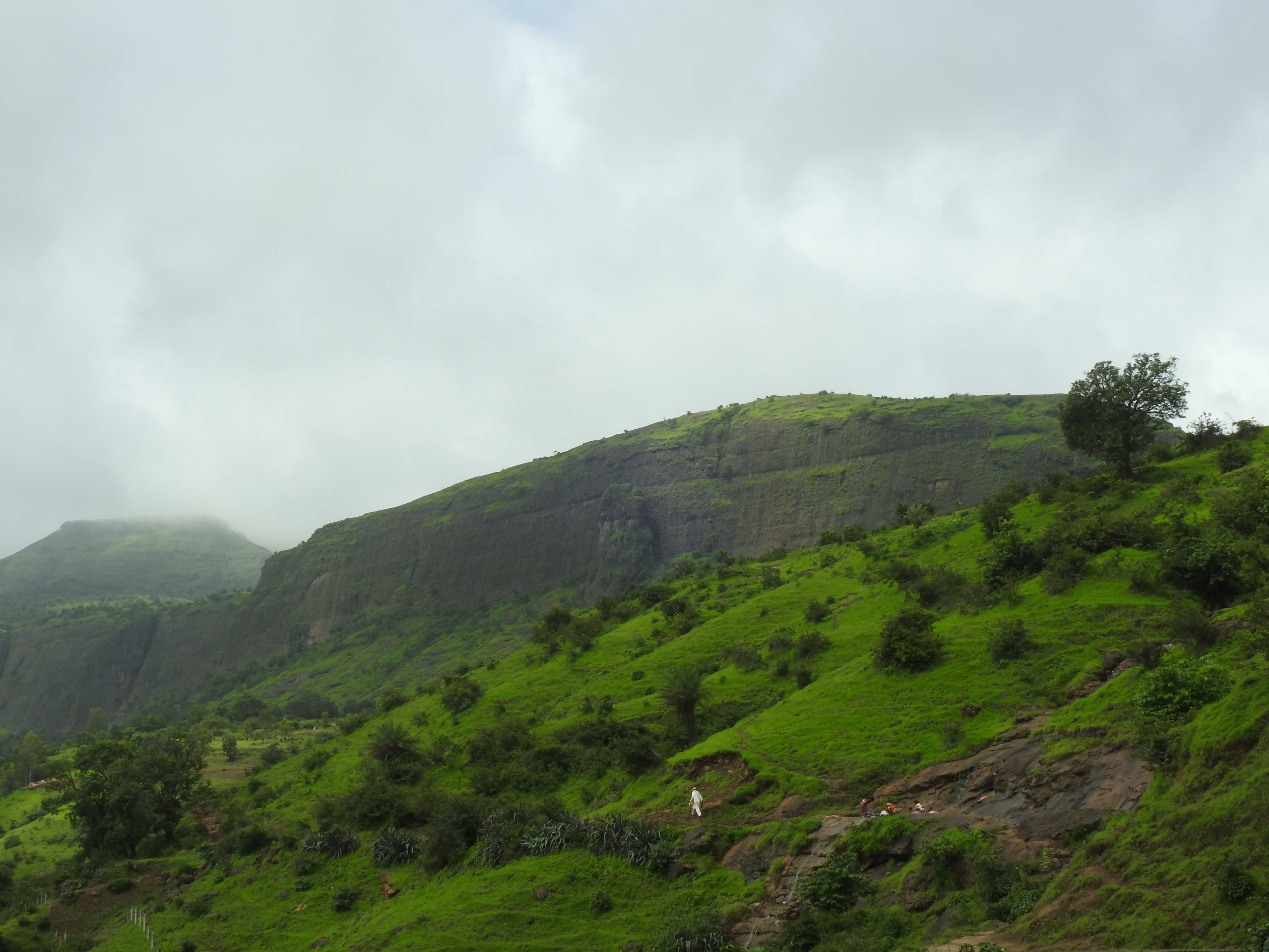 Anjaneri