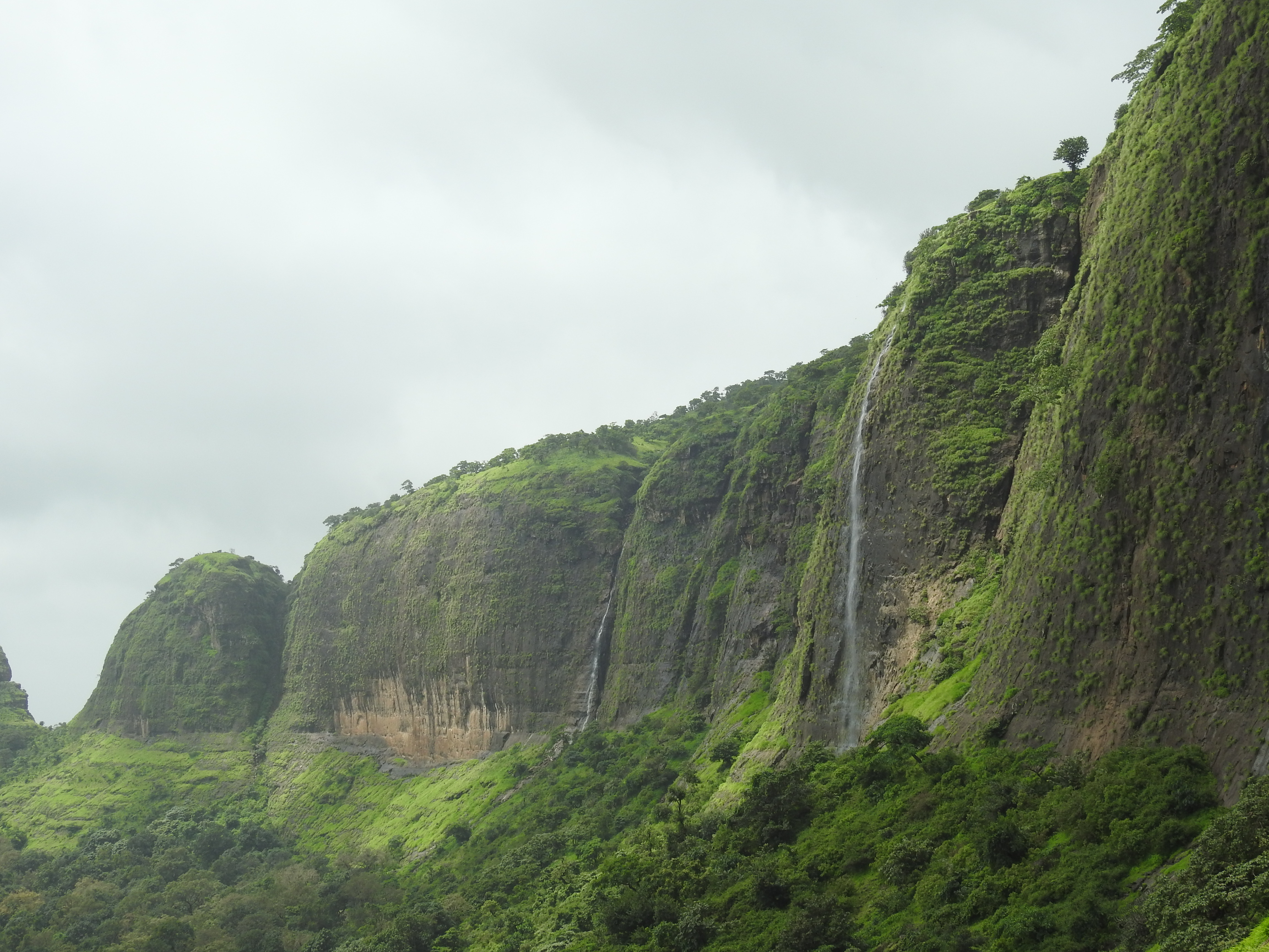 Anjaneri