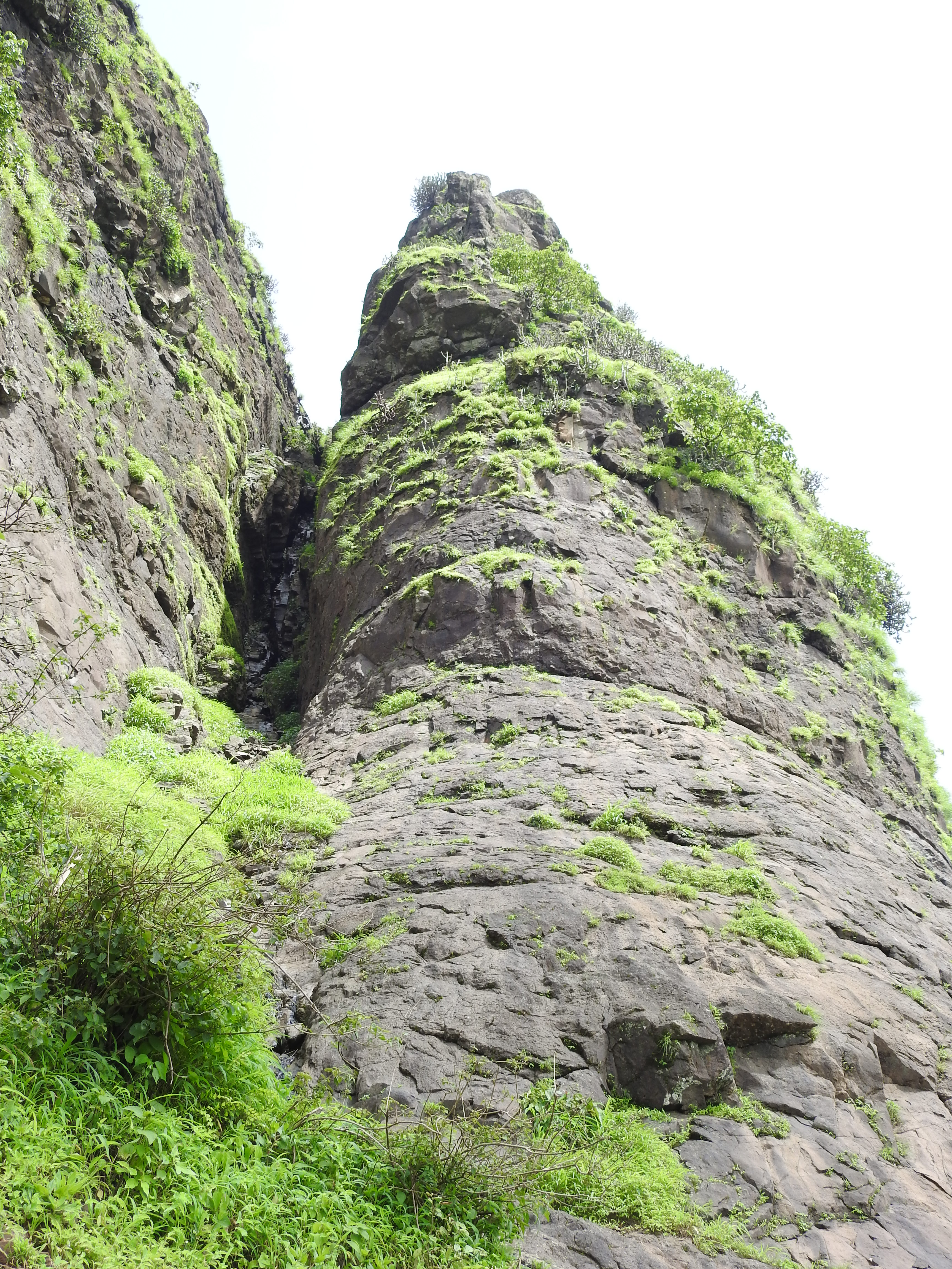 Anjaneri