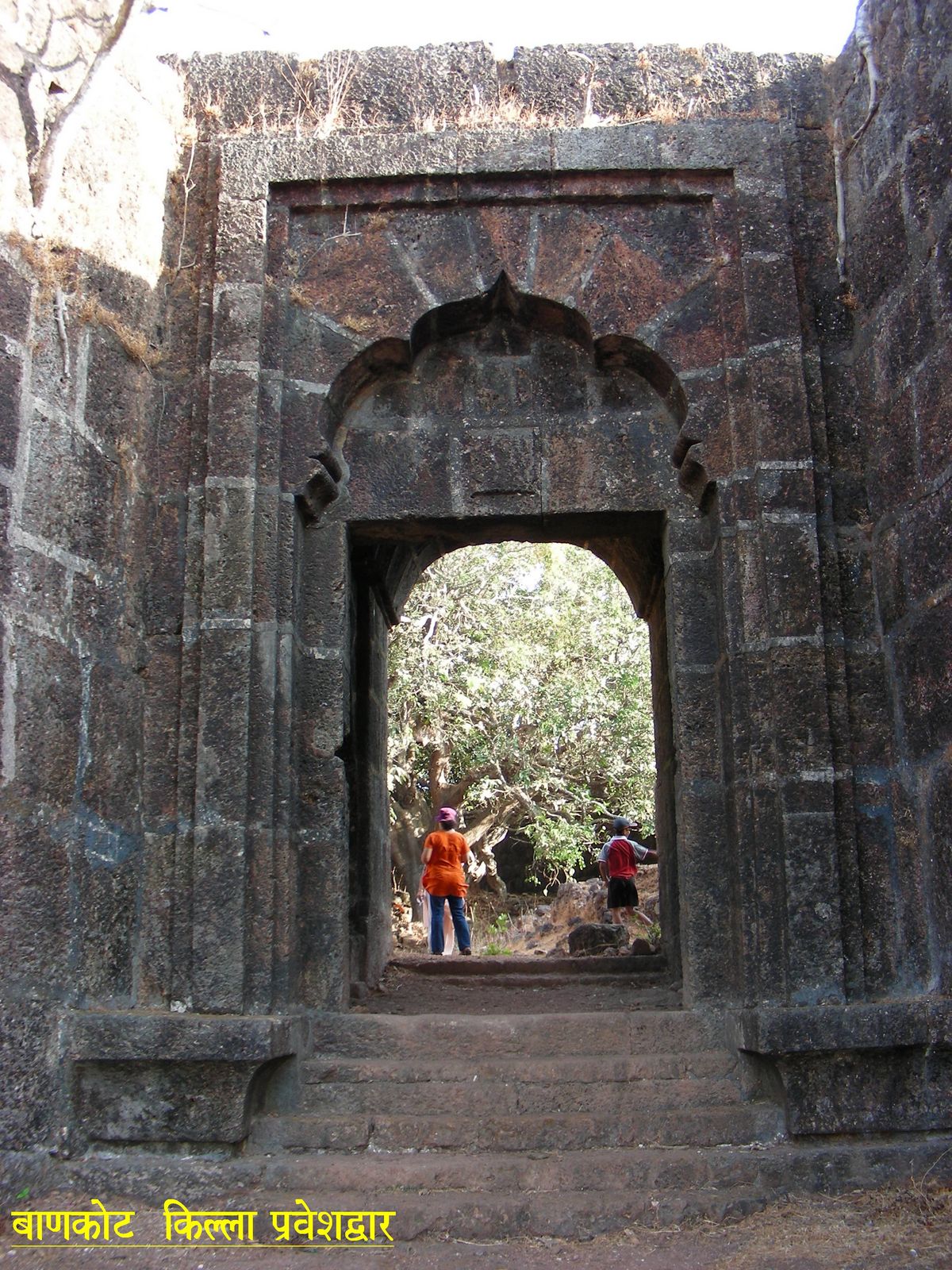 Bankot