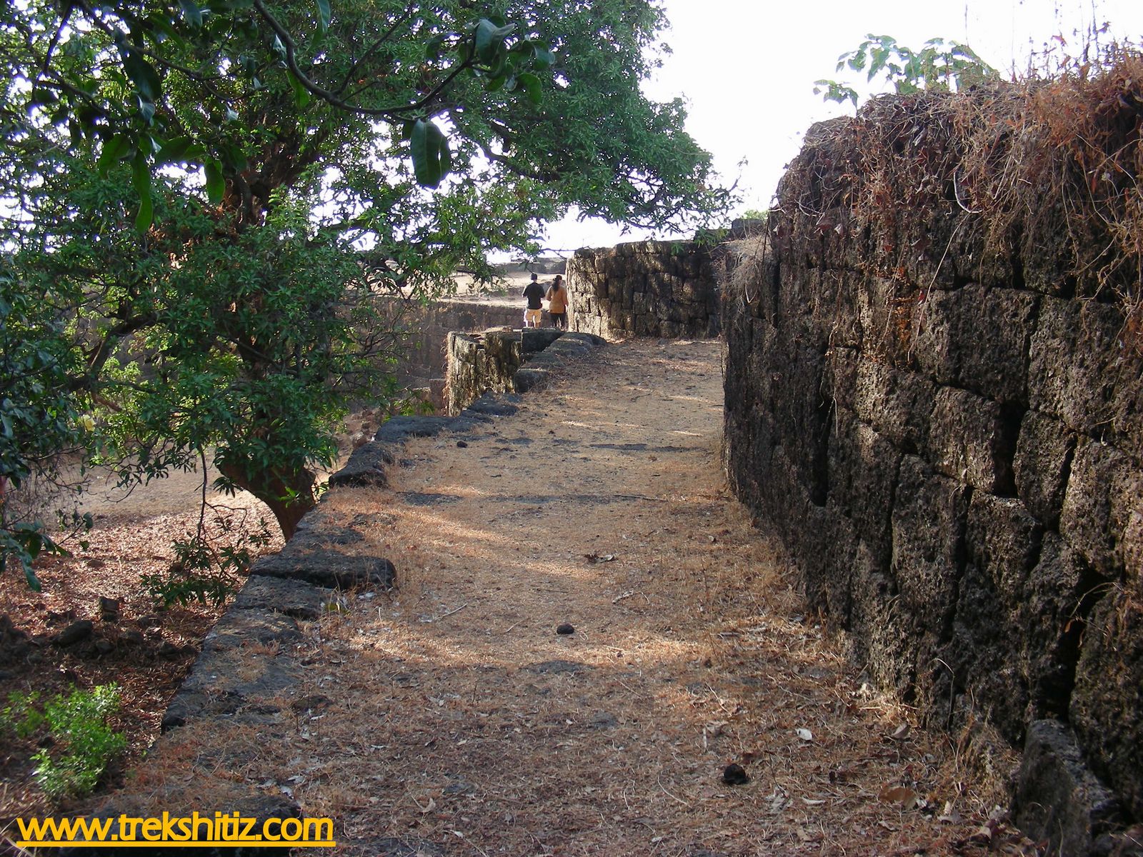 Bankot