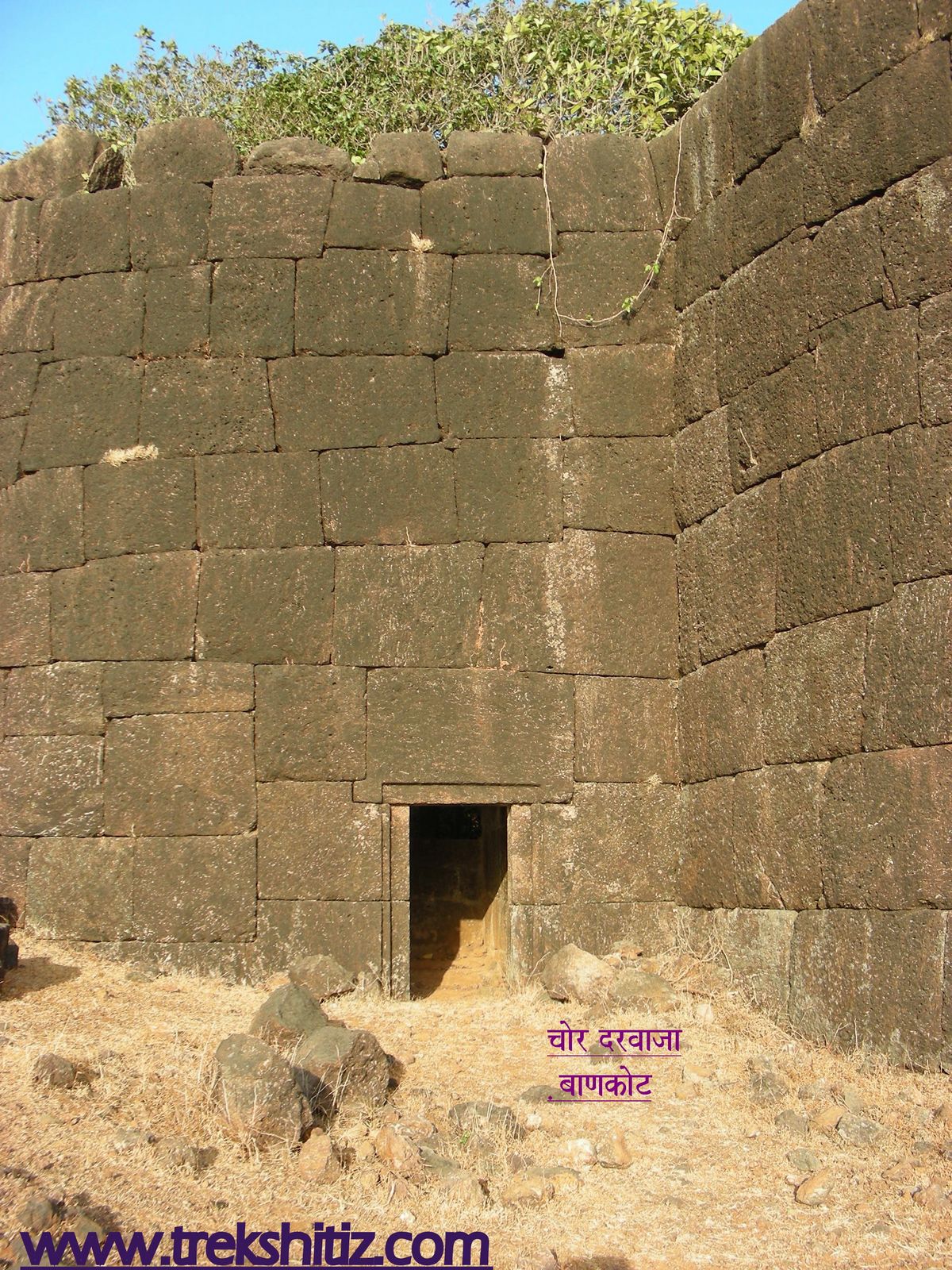 Bankot