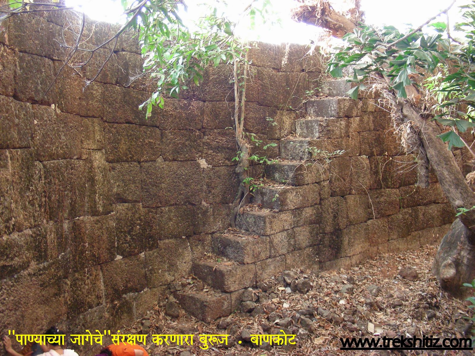 Bankot