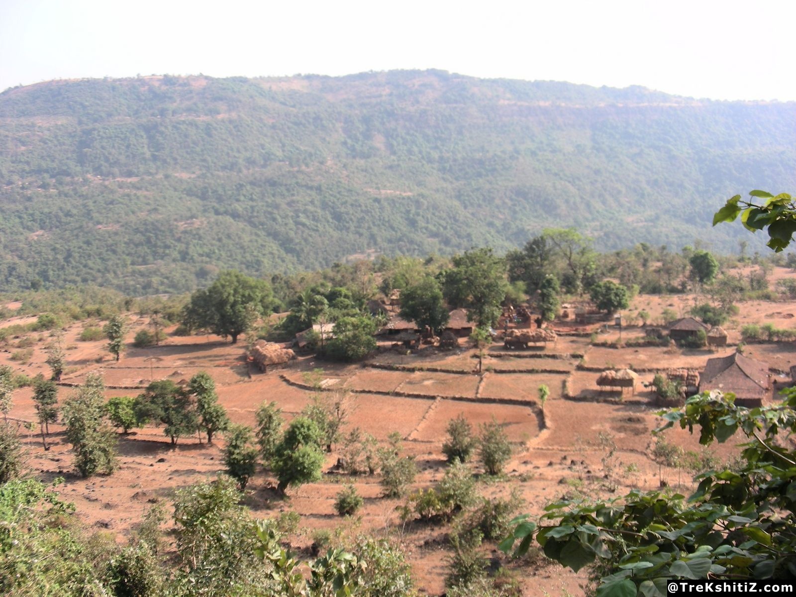 Barvai