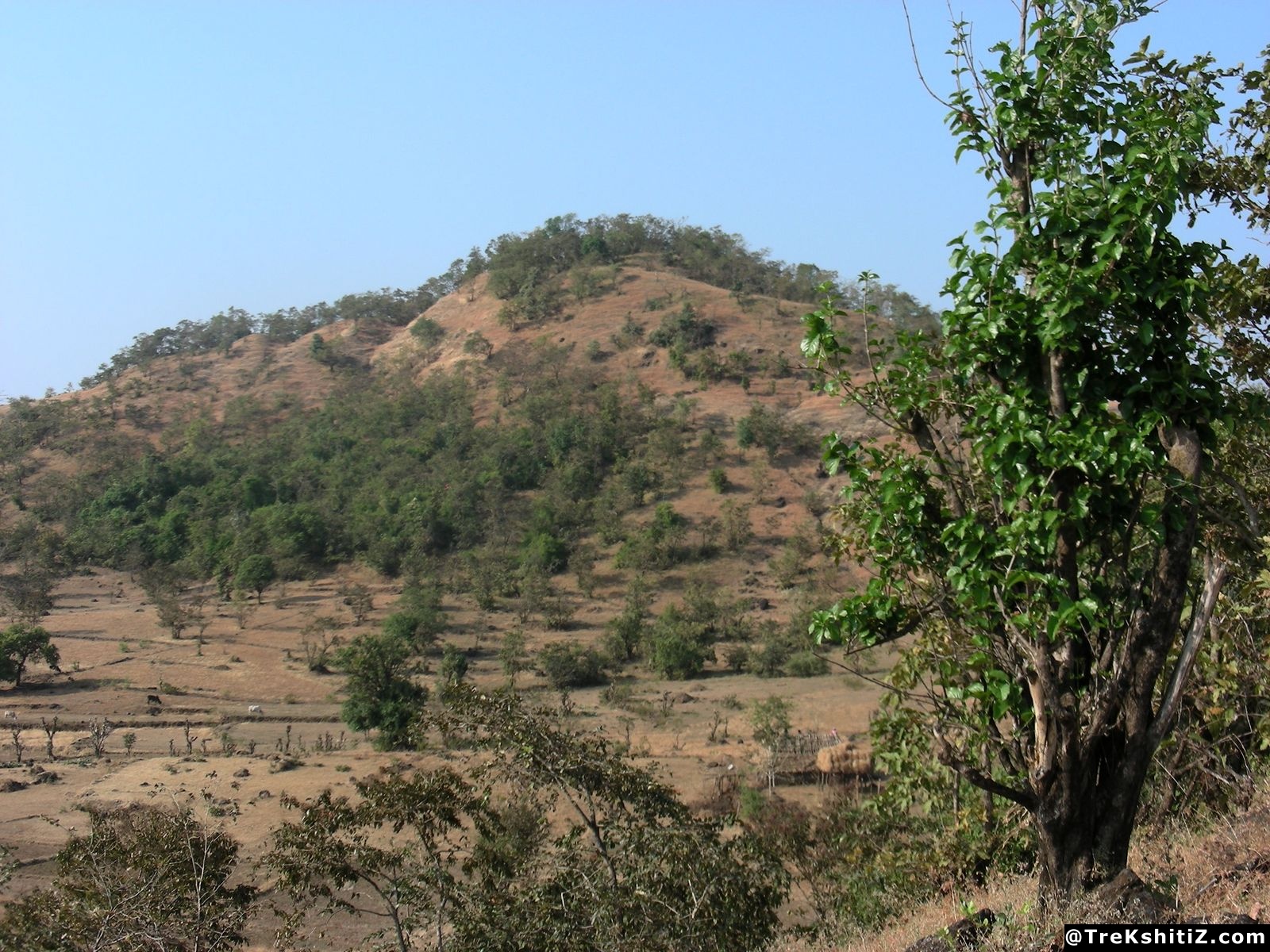 Barvai