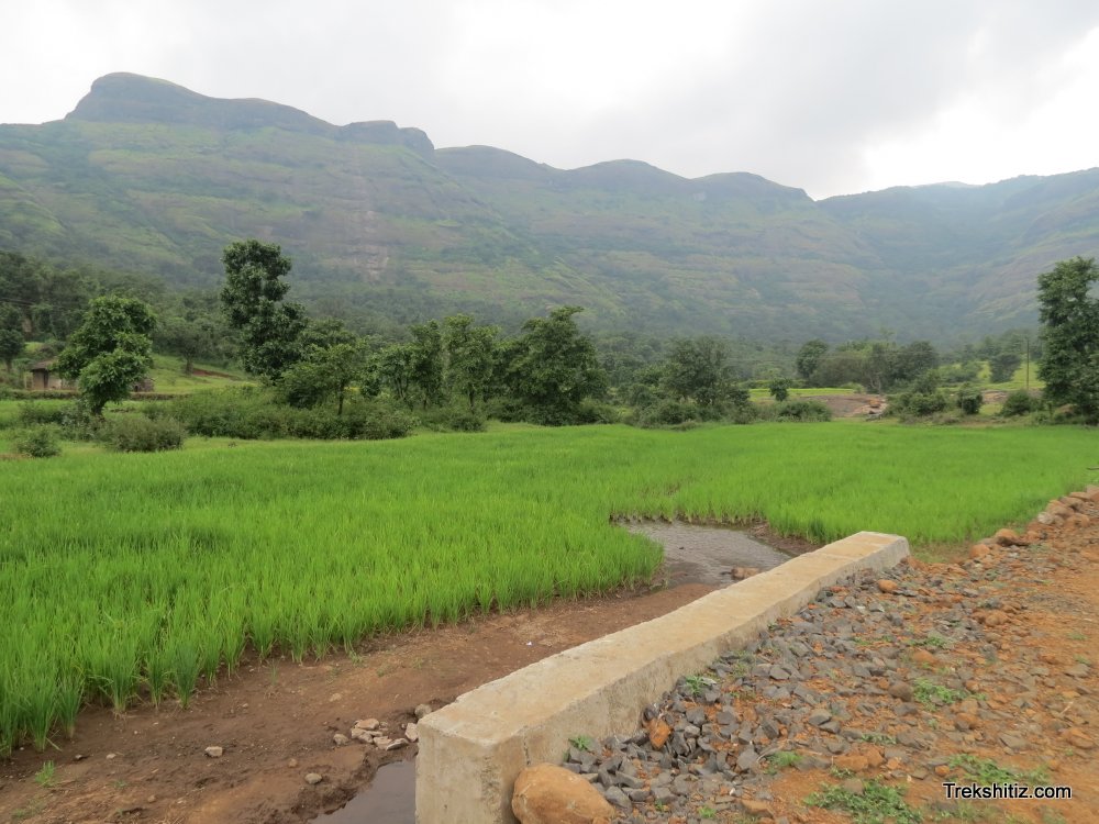 Bhairavgad(Shirpunje)from base village