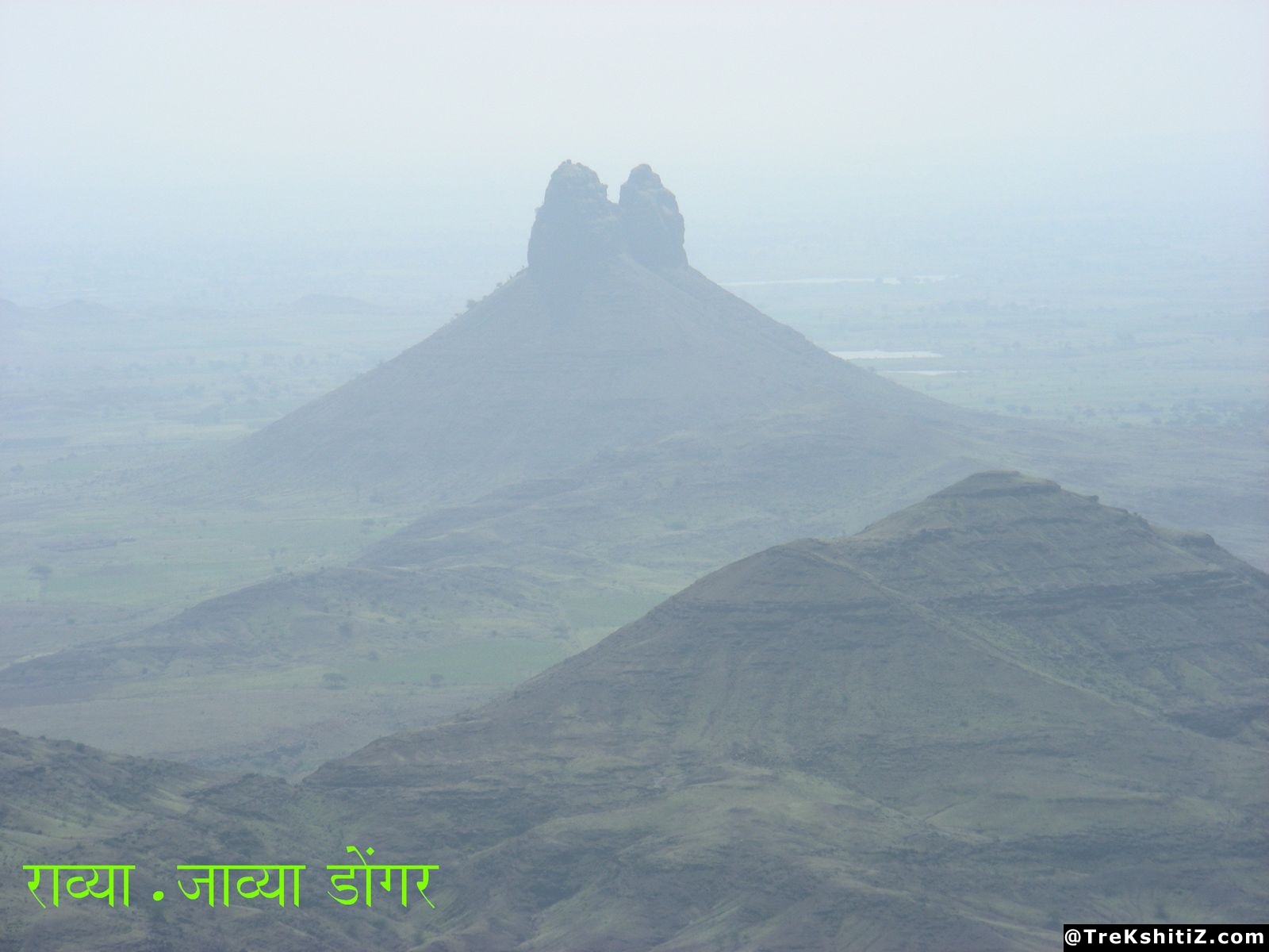 Bhamer