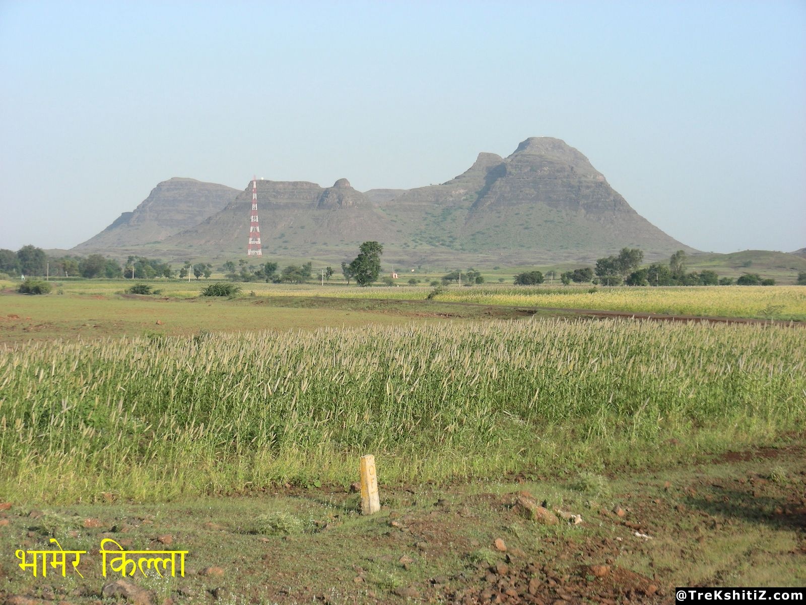 Bhamer