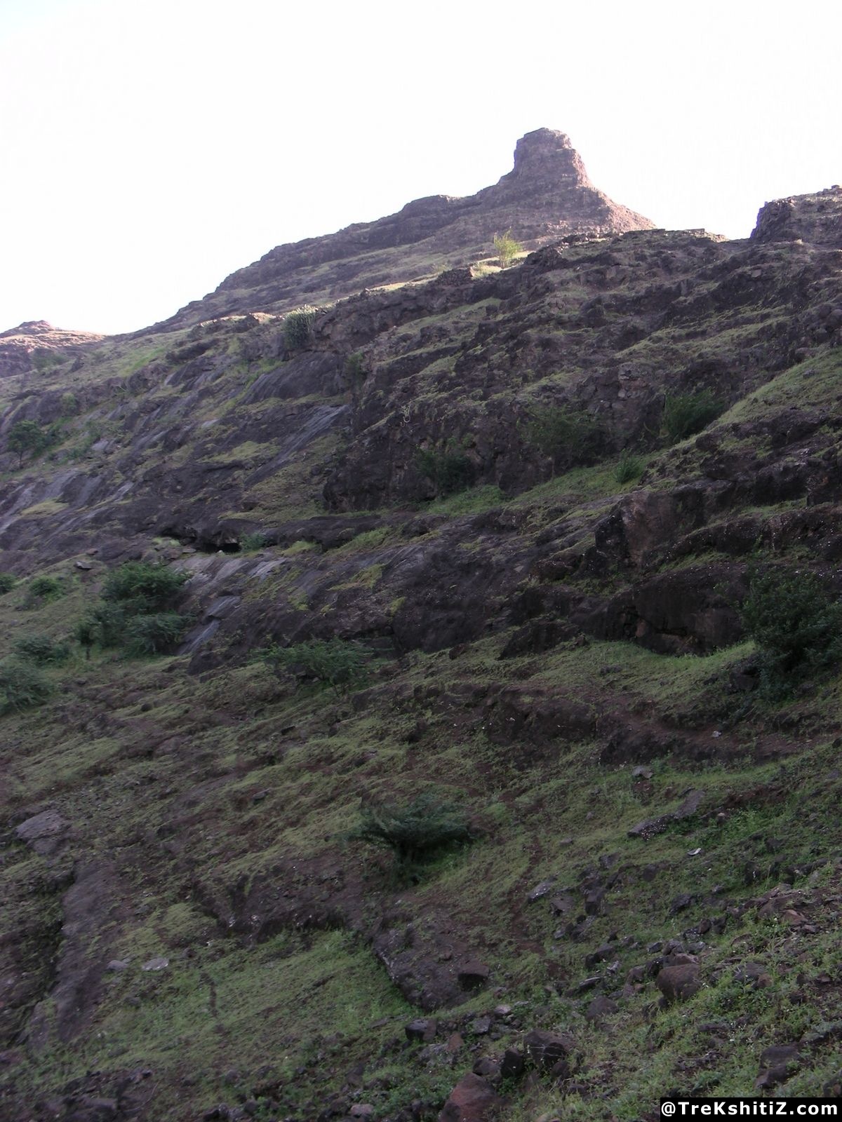Bhamer
