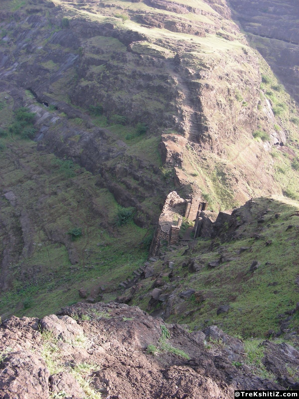 Bhamer
