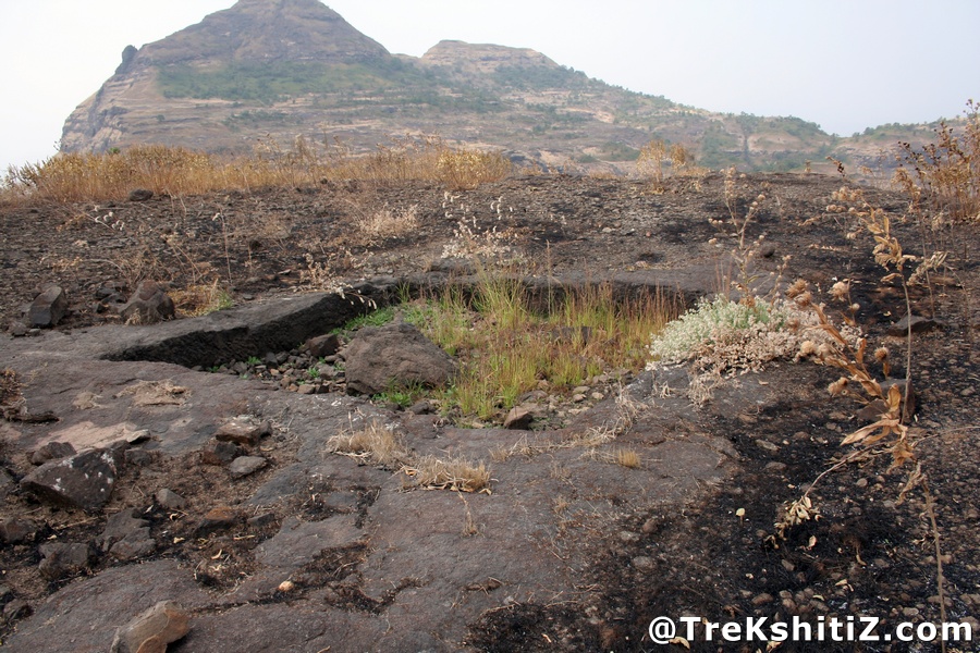 Bhaskargad