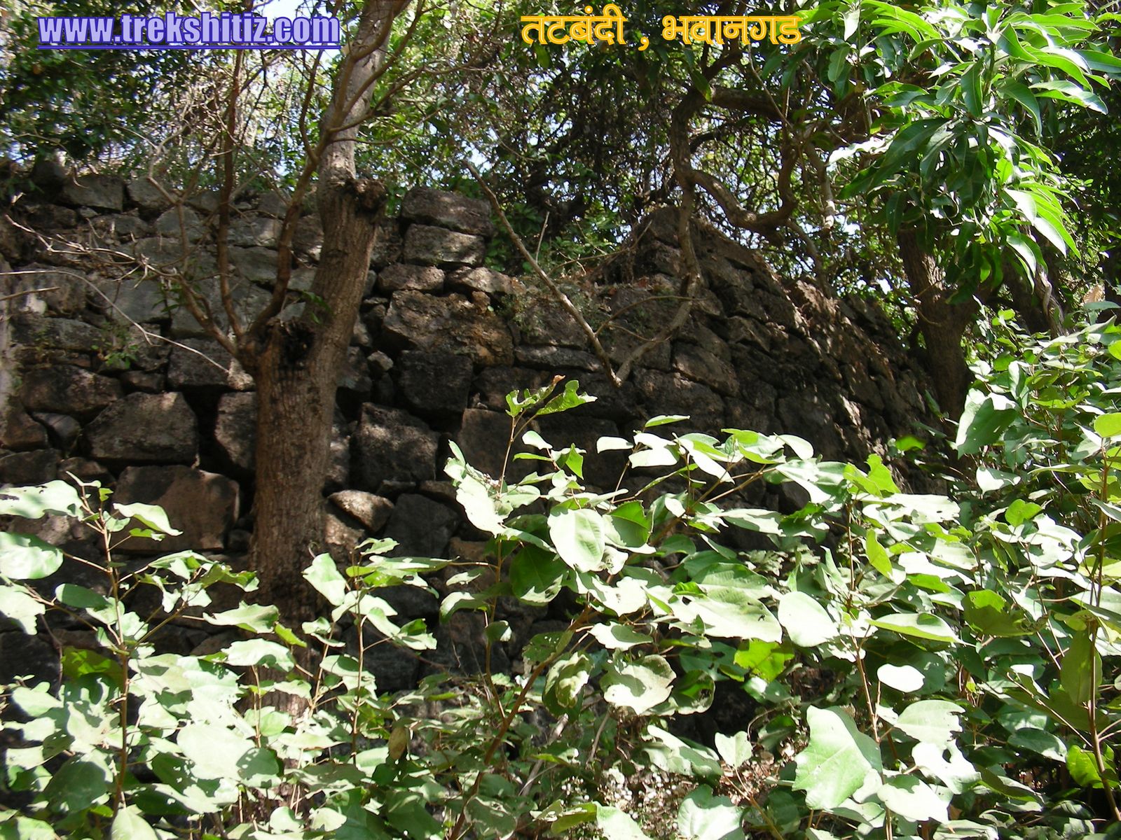 Bhavangad