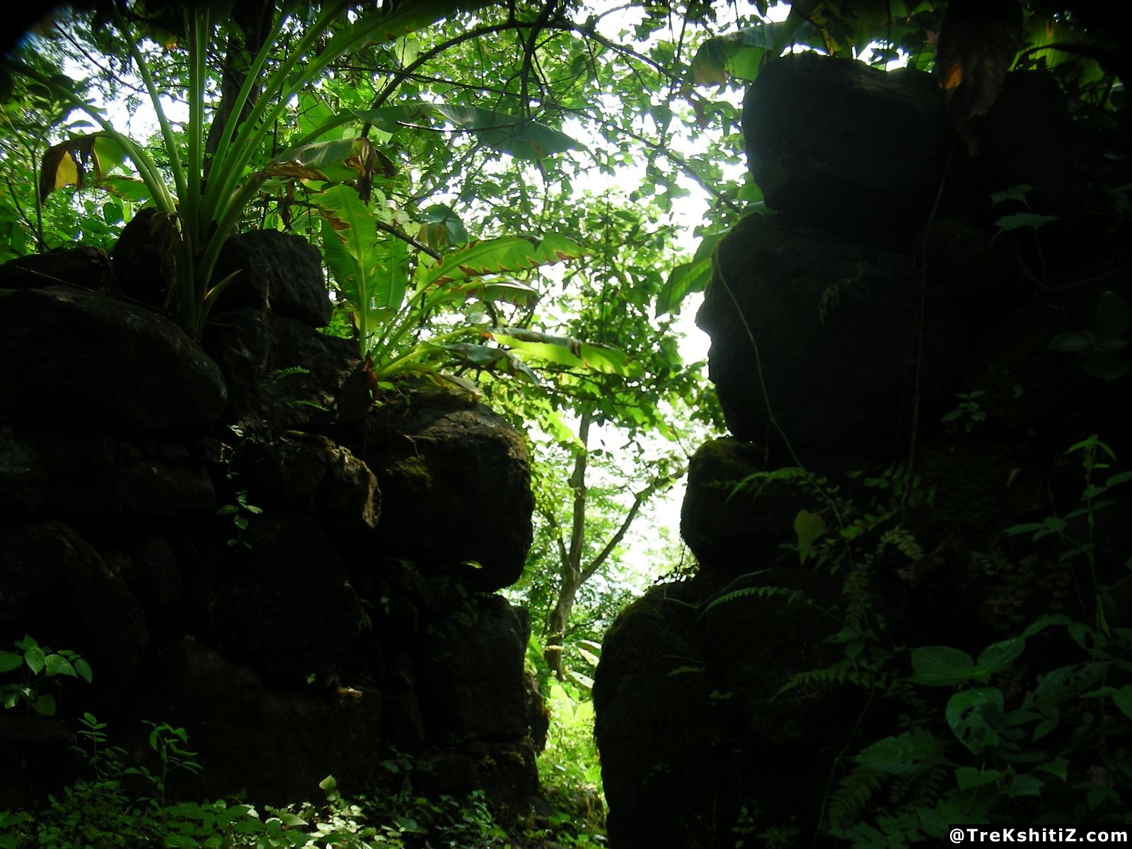 Bhavanigad