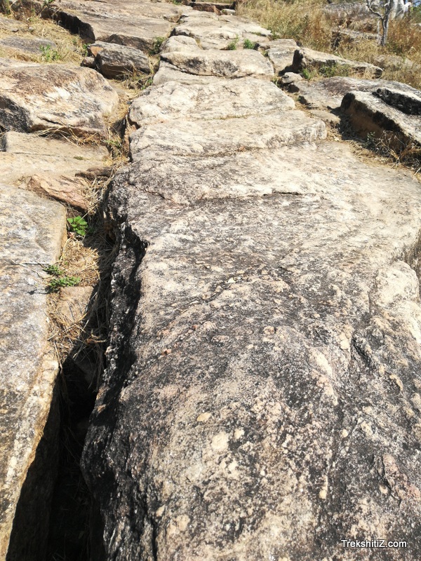 Bhivagad