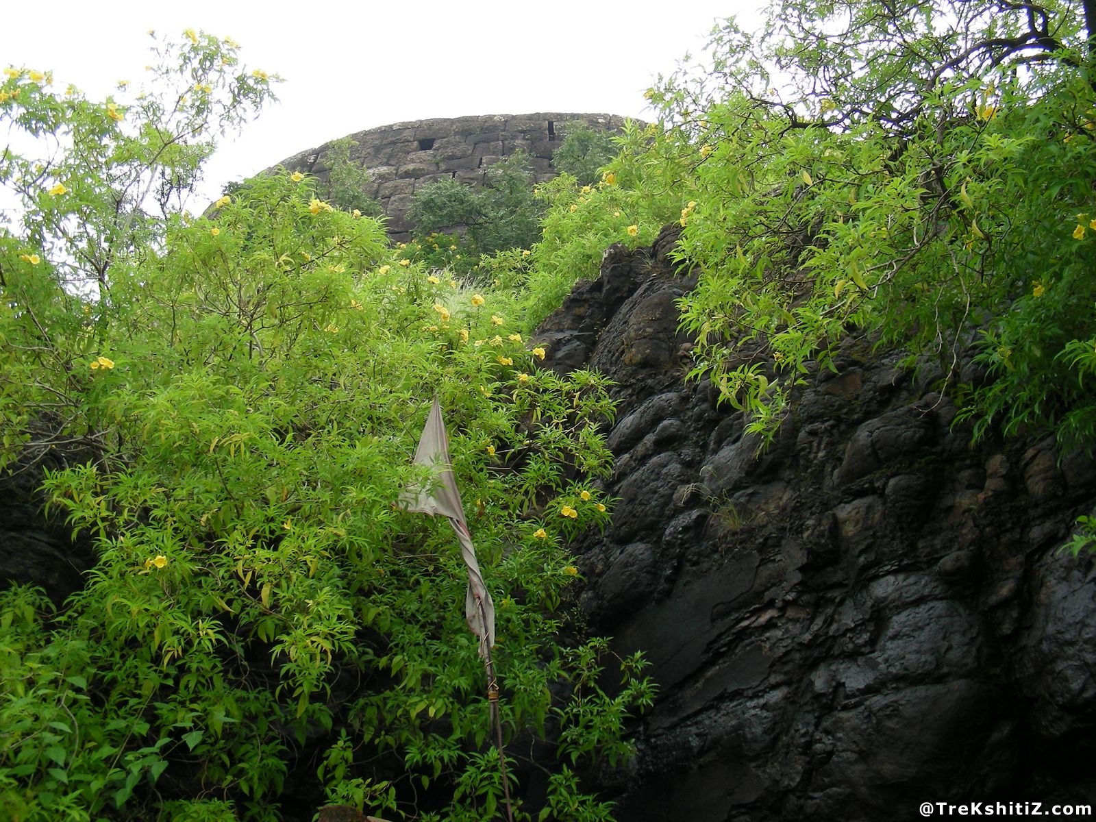 Bhushangad