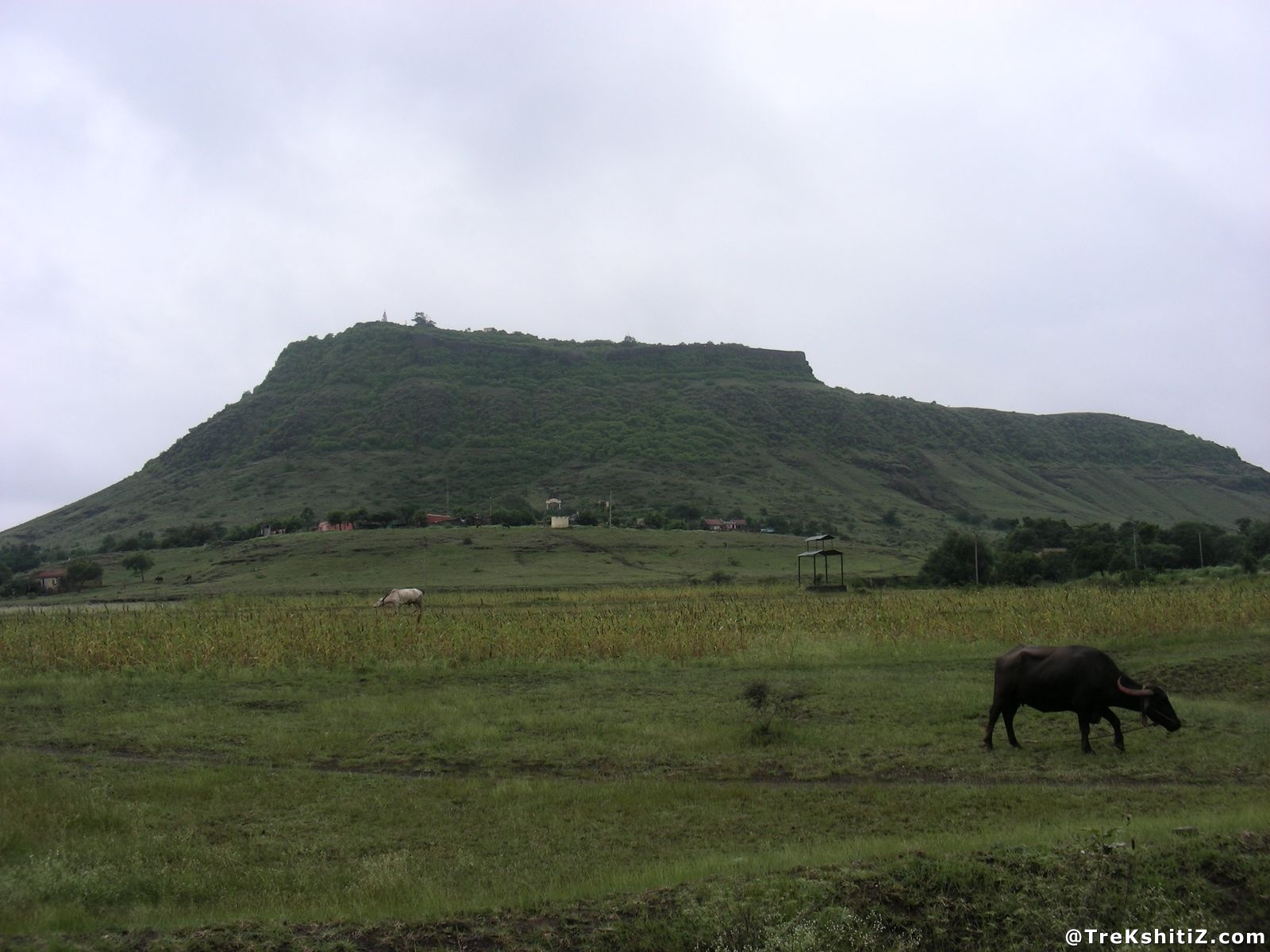 Bhushangad